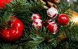 новый год, елка, хвоя, ветки, ягоды, яблоко, шарик, плоды, праздник, рождество, елочные игрушки, новогодние украшения