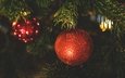 новый год, хвоя, шарик, праздник, рождество, новогодние украшения, новогодние декорации