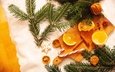 новый год, хвоя, ветки, апельсины, рождество, печенье, композиция, разделочная доска