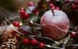 новый год, зима, иней, ягоды, яблоко, праздник, рождество, елочные игрушки, новогодние украшения, новогодние декорации