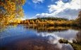 облака, берег, лес, отражение, ветки, вид, листва, осень, дно, водоем, синева, краски осени, золотая осень