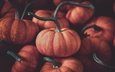 осень, темный фон, много, урожай, оранжевые, тыквы, хвостики