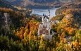 озеро, лес, замок, осень, германия, бавария, замок нойшванштайн, баварии, швангау