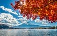озеро, листья, гора, осень, япония, фуджи, фудзияма, гора фудзи, озеро кавагутико
