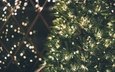 свет, новый год, елка, хвоя, ветки, темный фон, праздник, рождество, огоньки, гирлянда, новогодняя елка