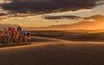 закат, песок, панорама, австралия, дюны, караван, верблюды, новый южный уэльс