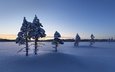 небо, деревья, снег, природа, зима, горизонт