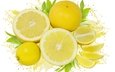 фрукты, белый фон, лимоны