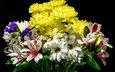 цветы, бутоны, лепестки, черный фон, букет, хризантемы, альстромерия