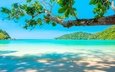 дерево, песок, пляж, горизонт, острова, океан, тропики