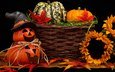 осень, корзина, подсолнухи, хэллоуин, тыквы, декор, decoración