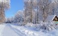 снег, зима, зимний лес