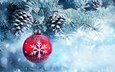 снег, новый год, елка, хвоя, шар, рождество, шишки, елочная игрушка