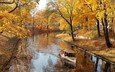 деревья, река, природа, парк, осень, лодка, листопад