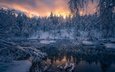 река, снег, лес, закат, зима, лёд, норвегия, хвойный лес, ole henrik skjelstad