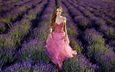 цветы, девушка, поза, лаванда, взгляд, лицо, розовое платье, лавандовое поле, elle tan
