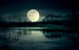 ночь, озеро, луна, полнолуние