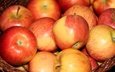 фрукты, яблоки, много, крупный план, корзинка