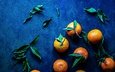 фрукты, синий фон, мандарины