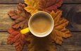 листья, настроение, осень, кофе, чашка, пенка