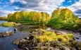 природа, лес, речка, финляндия