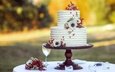 торт, десерт, свадебный