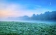 трава, облака, деревья, лес, утро, туман, поле, иней, дымка, синева