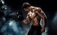 профиль, мужчина, мускулы, гантели, бодибилдинг, тренировка