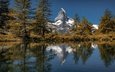 деревья, озеро, отражение, гора, осень, швейцария, альпы, вершина, цермат, grindjisee, matterhorn mountain
