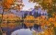 деревья, река, горы, отражение, ветки, осень, калифорния, сьерра-невада