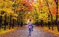 деревья, листья, девушка, парк, осень, япония, кимоно