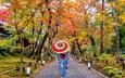 деревья, листья, девушка, парк, осень, япония, кимоно