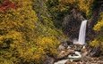 лес, ручей, панорама, водопад, осень, япония, ниигата