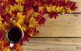 листья, фон, осень, доски, клен, чашка чая
