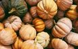 осень, много, урожай, тыквы, разные