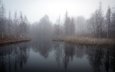 озеро, туман, осень