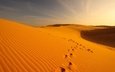 песок, пустыня, следы, дюны, oman