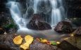 природа, камни, листья, водопад, осень