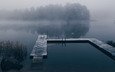 озеро, туман, причал, лебедь