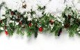 снег, новый год, елка, украшения, зима, ягоды, рождество, xmas, счастливого рождества, довольная
