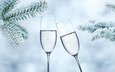 снег, новый год, елка, зима, ветки, мороз, бокалы, шампанское, довольная, fir tree