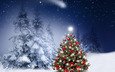 снег, новый год, шары, украшения, зима, снежинки, елки, рождество, xmas, ноч, счастливого рождества, довольная