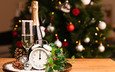 новый год, елка, часы, шарики, бутылка, шишки, шампанское, будильник, фужер