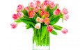 букет, тюльпаны, подарок, романтик,  цветы, парное, влюбленная, пинк, розовые тюльпаны