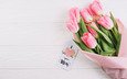 цветы, тюльпаны, розовые, мама, 8, парное, влюбленная, весенние, тендер, день матери, марта