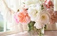 цветы, розы, букет, ваза