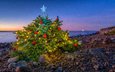 новый год, новогодняя елка, арендал, маленькая рождественская елка в национальном парке рает, тромей