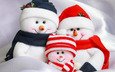 новый год, украшения, снеговик, рождество, xmas, счастливого рождества, holiday celebration