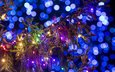 новый год, украшения, дизайн, фон, гирлянды, новогодние обои, элементы, рождество, с новым годом, новогодняя елка, новогодний стиль, новогодняя декорация, рождественский орнамент, разноцветные огни