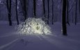 свет, снег, лес, зима, пейзаж, ветки, иллюминация, фонарь, заснеженные деревья